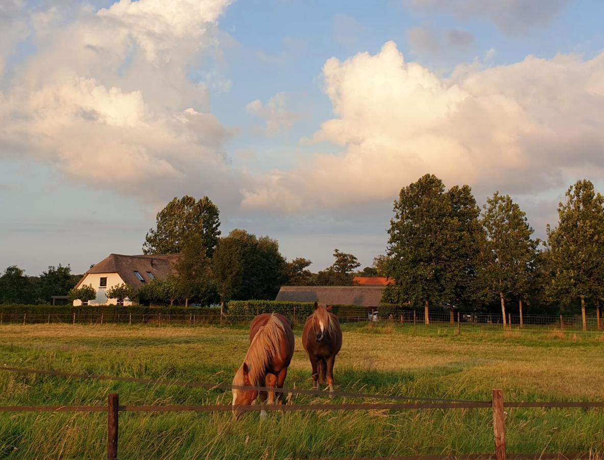 Chalet De Scherpenweide *