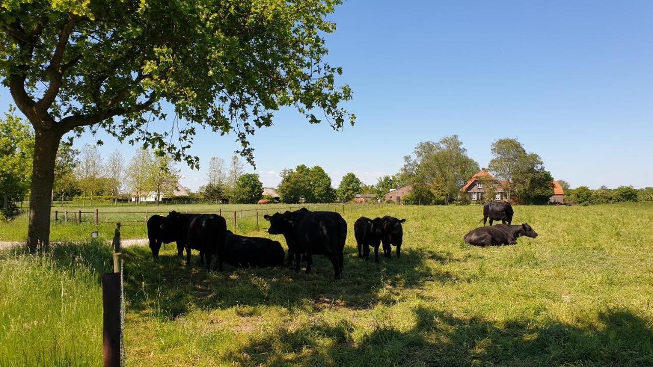 De Scherpenweide Chalet Leur